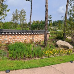 Obraz premium Sunny Day in Sejong Arboretum, South Korea.