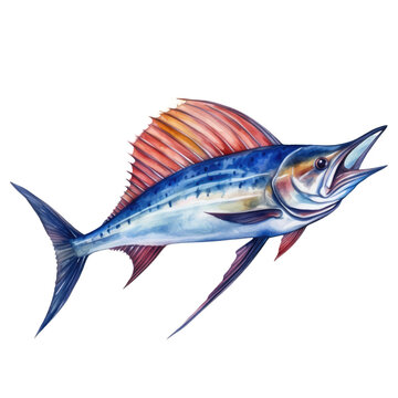 recommend clip art: A blue marlin fish, sword fish jumping up, watercolor art
