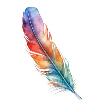 A colorful watercolor illustration of feather