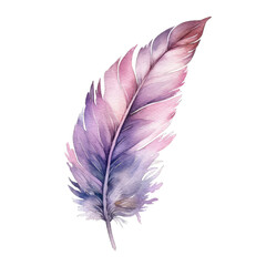 A colorful watercolor illustration of feather
