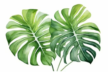 Rolgordijnen Monstera Print with tropical watercolor design of monstera leaves for summer card and decor ideas. Generative AI