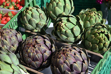 Artischocken auf dem Gemüsemarkt von Luzern, Schweiz