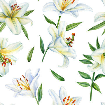 Watercolor white lily, hand painted seamless pattern of flowers and green leaves. White Floral design