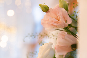 beautiful flowers with bokeh background image