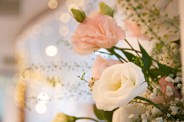 beautiful flowers with bokeh background image