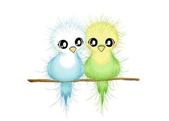 two cute budgies