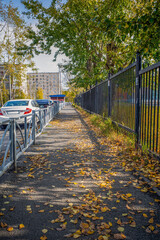 Sidewalk with yellow leaves on an autumn day