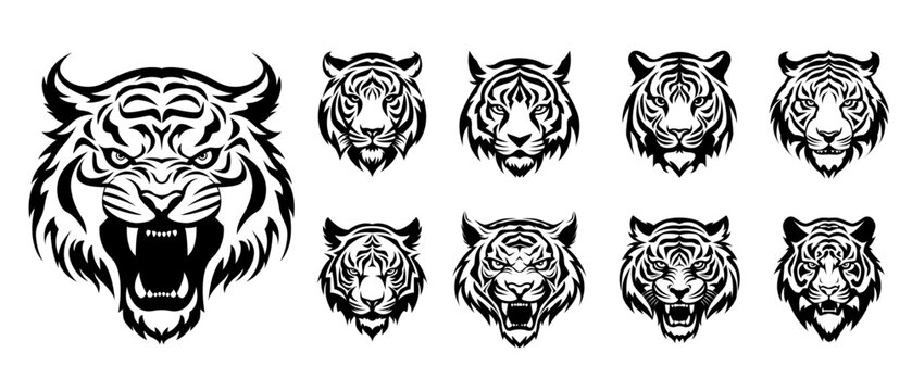 Tiger head logo set - vector illustration, emblem design on white background.