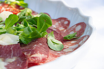 detail plan of cold meat and arugula plate