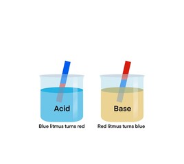 Acid and base, chemical difference between acids and bases is that acids produce hydrogen ions and bases accept hydrogen ions, A base is a substance that neutralizes acids