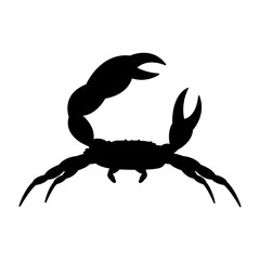 crab vector illustration design