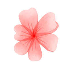 Fototapeta premium Vector watercolor herbs and flowers isolated on white