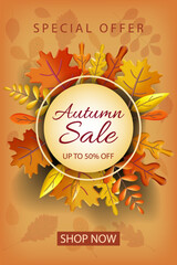 Autumn, Fall Sale poster 3d background