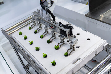Agricultural robots are working in vegetable greenhouses