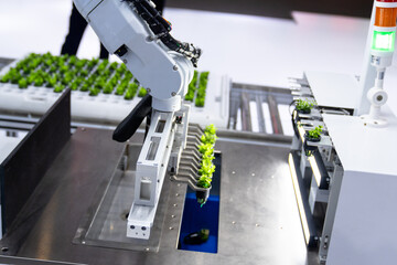 Agricultural robots are working in vegetable greenhouses
