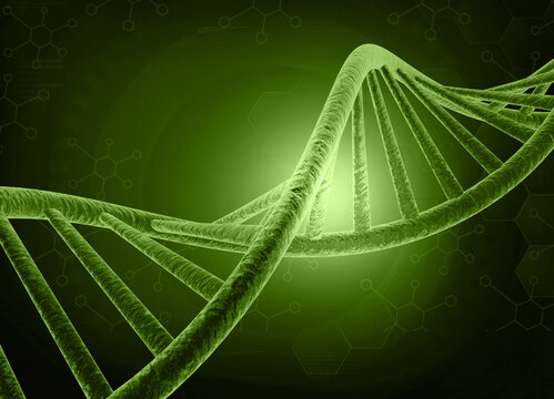 DNA strand on green scientific background. 3d illustration.