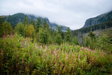 Solisko peak and Mlynicka valley, High Tatras mountain, Slovakia