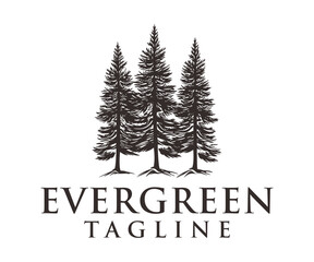 Rustic Retro Vintage Woodland, Evergreen, Pines, Spruce, Cedar trees logo design