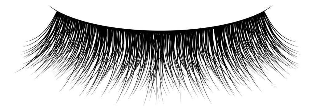 Eye makeup. Long black fake salon lashes