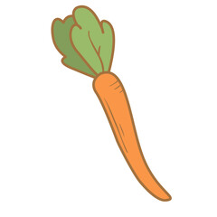 Carrot vegetable cartoon.Vitamin vegetable.Ripe carrot.Isolated on white background.Line art vector illustration.Organic agriculture.Isolated on white background.Vector flat illustration.
