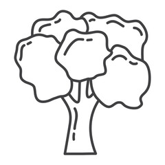 Fresh vegetable.Broccoli nature icon.Healthy food.Broccoli cabbage.Ripe green vegetable.Vegetarian natural food.Organic agriculture.Isolated on white background.Hand drawn outline vector illustration.