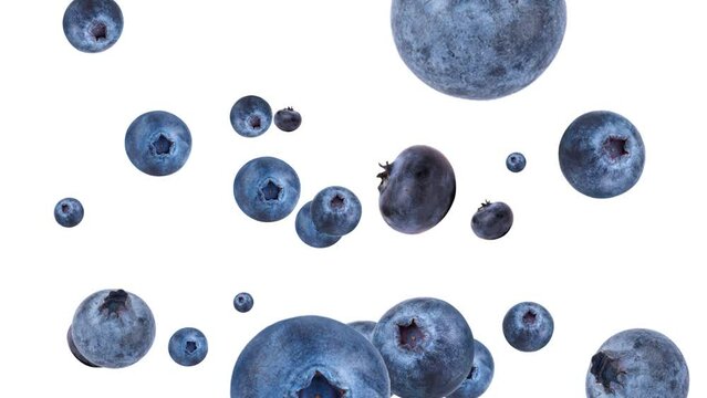 Blueberries Falling On White Background