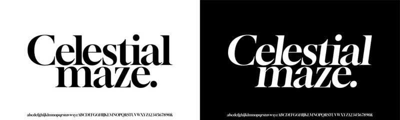Modern Elegant Glamour Font Uppercase Lowercase Number and Symbol. Lettering Fashion Designs. Typography condensed serif fonts for design vector illustration