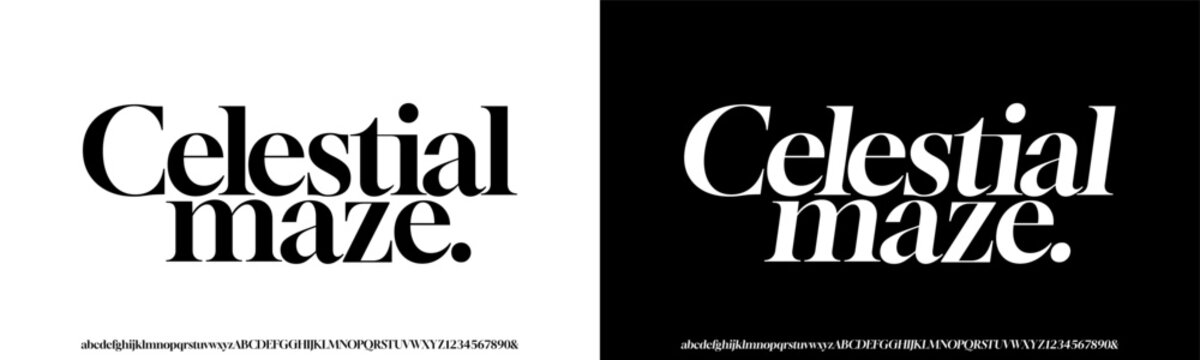 Modern Elegant Glamour Font Uppercase Lowercase Number and Symbol. Lettering Fashion Designs. Typography condensed serif fonts for design vector illustration