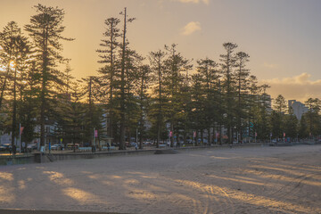 Sydney northern beaches main Manly beach facing pacific ocean on a sunny summer day with crowd of...