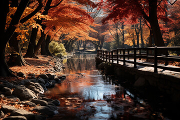 Wooden bridge walkway with small stream in autumn