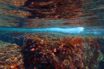 Colorful seascape in the shallow water with waves. Crashing ocean and rocky seabed. Underwater...