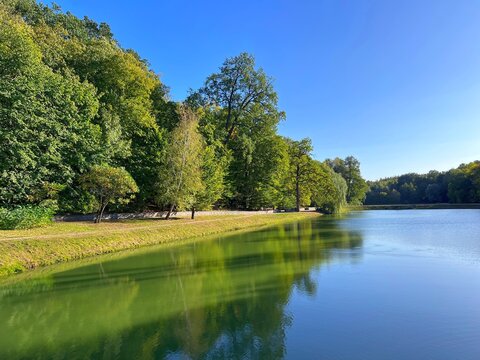 Landscape with trees and pond in the park.