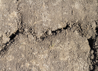 Cracked soil, ground - land formed as a result of drought