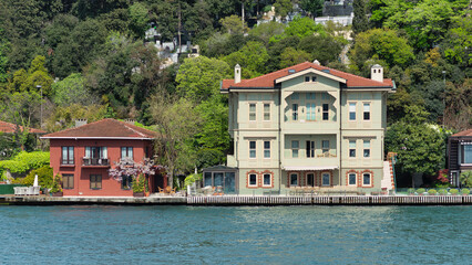 Fototapeta na wymiar Traditional houses on a green hill by Bosphorus in Istanbul, Turkey, The trees in the foreground are lush and green