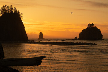Sunset at La Push First Beach