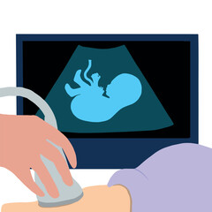 Gender reveal at ultrasound check. It's a boy! Baby's sex on the ultrasound. Baby boy on the monitoring machine. Pregnant wit a boy