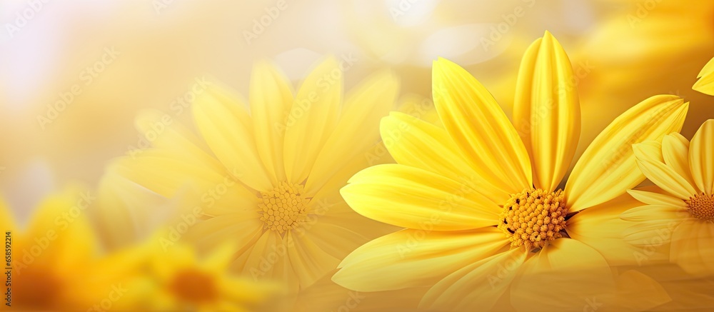 Poster yellow isolated pastel background copy space colorful texture abstract pattern copy space template n