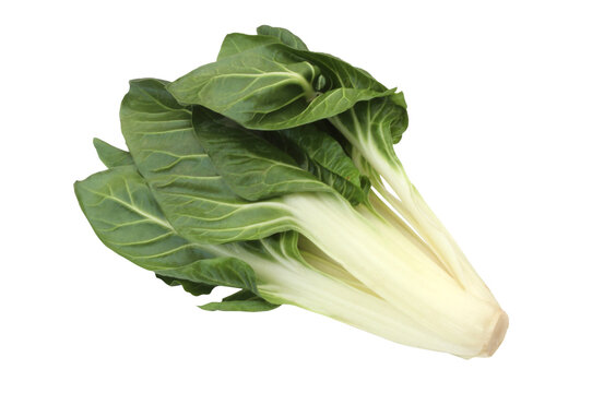 Blette, Swiss chard / Transparent background	