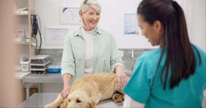 Woman, vet and dog on table for discussion, medical advice and pet care in health insurance. Mature person with female veterinarian, sick Labrador puppy and professional consultation at animal clinic