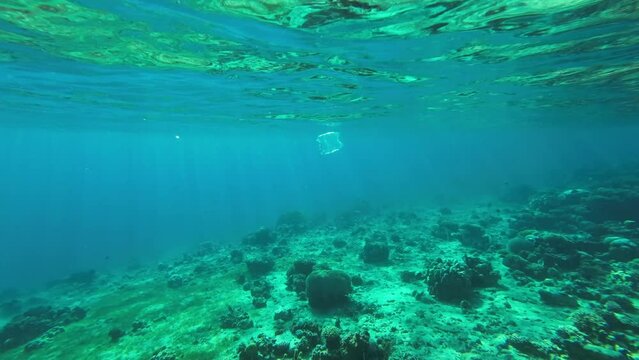 Transparent plastic disposable bag drifts under surface of blue water in bright sunbeams approaching coral coastal area, Backlighting (Contre-jour), Slow motion. Plastic pollution of Ocean 