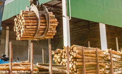 Industrial log loader at lambermill © Angelov