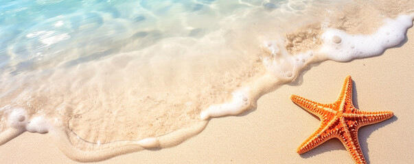 Fototapeta na wymiar Starfish on a sandy beach in clear sea water. Banner
