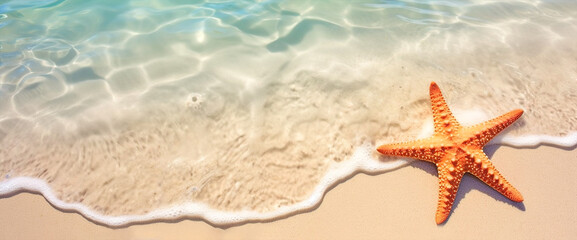 Fototapeta na wymiar Starfish on a sandy beach in clear sea water. Banner