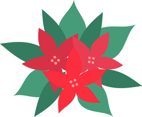 Christmas Poinsettia