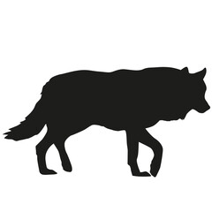 wolf silhouette
