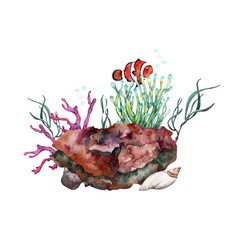 Orange clown fish near anemone growing over reef rock with corals and seaweed. Hand drawn watercolor illustration. Part of tropical underwater collection.