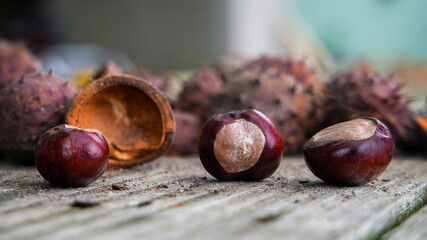 Chestnuts outside on wooden table close up