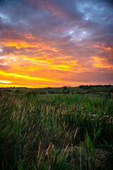  Sunrise on the lake. Morning lake over the forest, Trees on the beach.Red sunrise