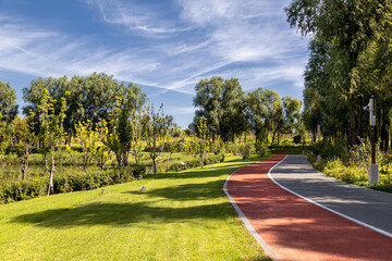 Colorful walking trails in the park in autumn