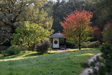 Japanese traditional tea house with growing sakura tree and colorful foliage. An autumn day in a Japanese garden. Main Botanical Garden of the Russian Academy of Sciences
